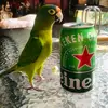 Andy montano - @a8652076 - TikTok