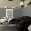 Amy Montebello - @amymontebello - TikTok