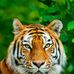 Andy Montero - Facebook