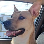 Andy Moose - @andy_moose - Instagram
