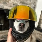 Andy L Morejon - @andy_luigi - Instagram