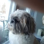 Andy Morelli - @andy.morelli.9 - Instagram