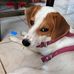 Ady Morgado - Facebook