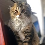 Moritz Silver Andy - @moritzsilverandy - Instagram