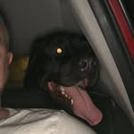 Andy Moro - @andymoro670 - Instagram