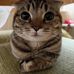 Andy Moro - Facebook