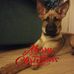 Andy Moroneso - Facebook