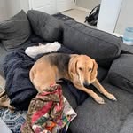 Andy Morrison - @andy.morrison.71868964 - Instagram