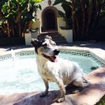 Andy Morrow - @ammorrow3 - Instagram