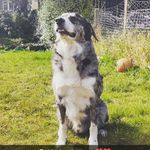Andy Morrow - @andy.morrow.942 - Instagram