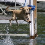Andy Morse - @andy.morse.520 - Instagram