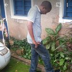 Andy Moses - @mosesandy - Instagram