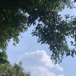 Andy Mosqueda - @andrea_m8361 - Instagram