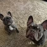 Andy Mott - @mottman_1981 - Instagram
