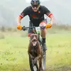 andy_mott - @andy_mott - TikTok