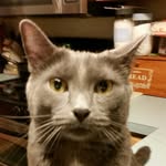 Andy Motto - @layla_motto - Instagram