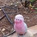 Andrew Moulds - Facebook