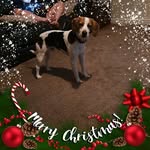 Andrew Mountford - @andrew.mountford.10 - Instagram
