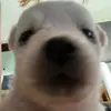 ʚ🧸ɞ - @andy.mox - TikTok