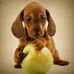 Andy Mraz - Facebook