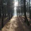 andymroczek8 - @andy.mroczek - TikTok