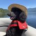 Andy Muhlemann - Facebook