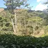 Andy Mujica - @andymujica243 - TikTok