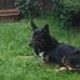 Andy Muldoon - Facebook