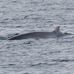 Andy on Mull  Only Wildlife - Facebook