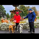 Andy Mullady - @thebigdaddytrucker - Instagram