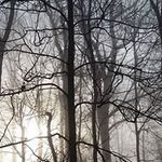 Andy Mulligan - @bearcatmulligan - Instagram
