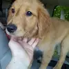Andy McMullin - @andy.mcmullin - TikTok