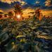 Andy Muma - Facebook