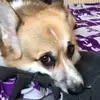 Andy Murdock306 - @andy.murdock - TikTok