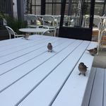 Andy Murry - @addis276 - Instagram
