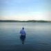 Andy Nain - Facebook