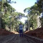 Andy Najar - @anjo.2021_1 - Instagram