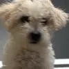Andy Najera397 - @andynajera397 - TikTok