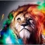 Andy Najera - Facebook