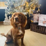 Andy Nally - @andynal - Instagram