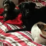 Andy Napier - @napierandy - Instagram