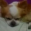✨NAPO✨ - @napo_napoleon_0f_andy - TikTok
