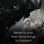 Andy Nason - @nasonandy1 - Instagram