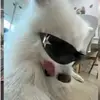 natalia.andy_ - @natalia.andy_ - TikTok