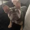 andy_neill - @andy_neill - TikTok