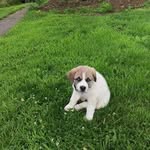 Andy Nemec - @andy.nemec.1 - Instagram