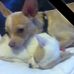 Andrew Nield - Facebook