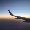 Andy - @andy.niu - TikTok