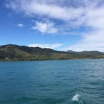 Andy niu - @nqh.andy - Instagram