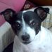 Andy Noonan - Facebook